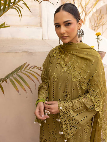 Noor e Chasham By Aalaya Summer Vol 02 '25 D 04